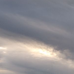 Meet your Posher, Patti